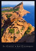 conception de l'affiche OT la Ciotat